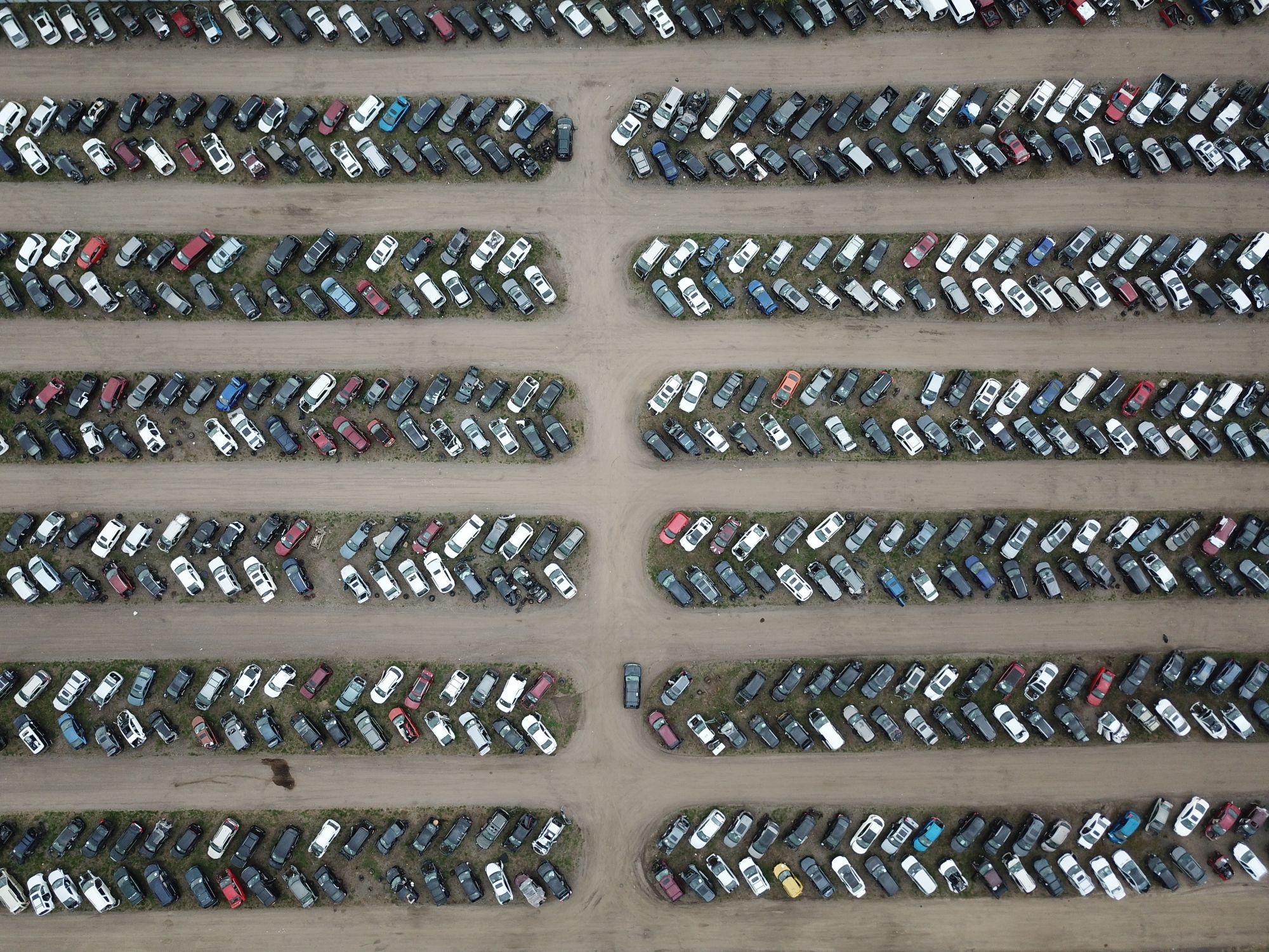 Rows of used cars in a large outdoor lot
